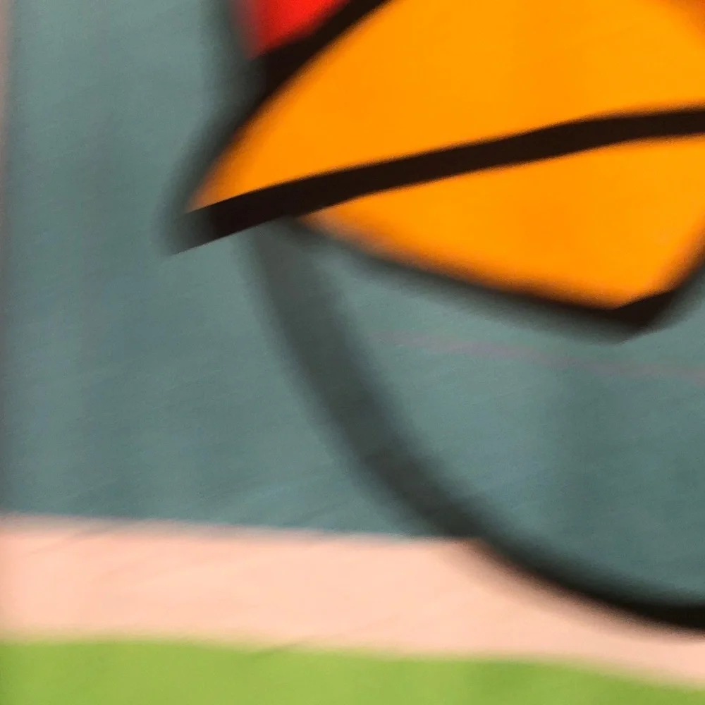 Angry Bird Graphic Red shower curtain